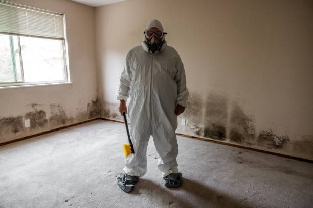Best Mold Damage Repair  in North Caldwell, NJ